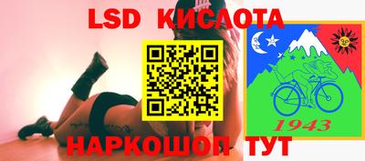 крисы Кунгур