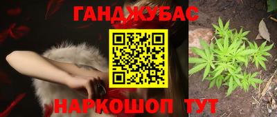 СК Шахты