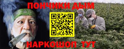крисы Кунгур