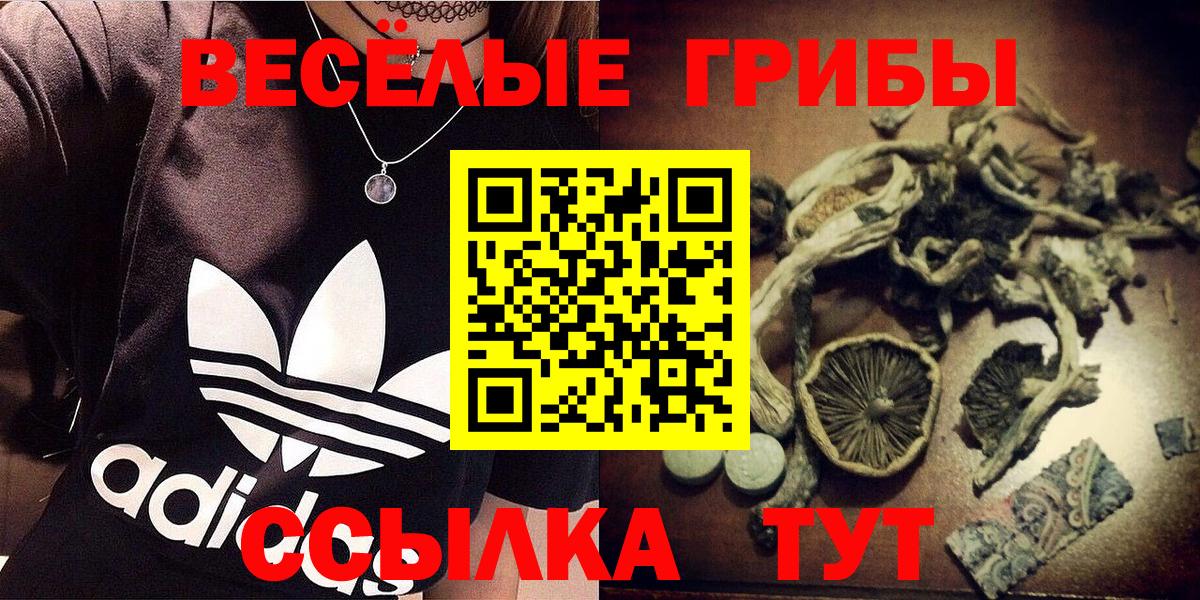 Псилоцибиновые грибы мицелий  Псилоцибиновые грибы Magic Shrooms  Вход с VPN  Ковров 