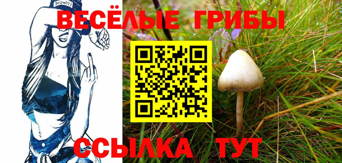 Псилоцибиновые грибы Ковров